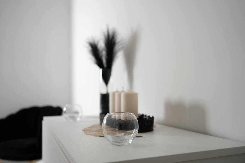 Newlife 815 Holiday Home Black 메르카토 산 세베리노 외부 사진